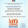 Наши достижения 2020 года